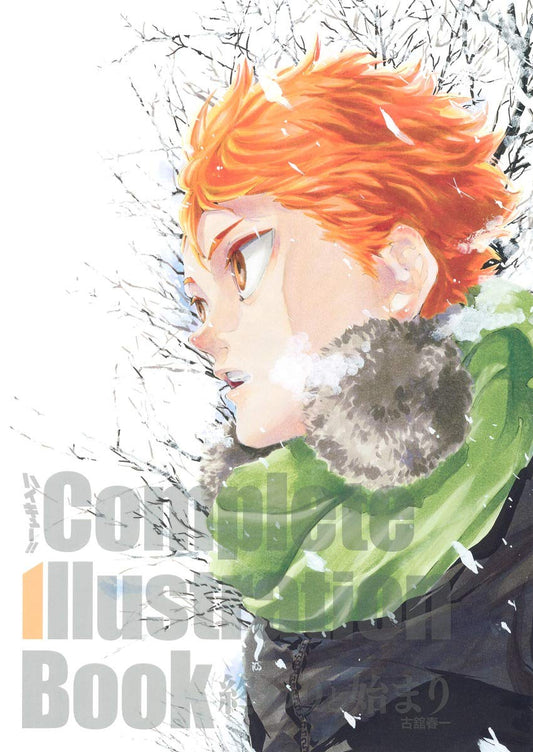 Haikyuu!! Complete Illustration Book